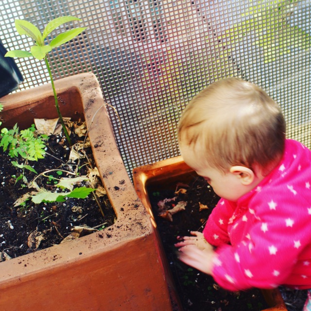 mama extraterrestre actividades entretener bebe en casa arenero en jardineras